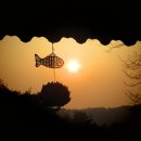 남원 사석리 마애여래좌상 | 가야될 전통사찰 / 기타 사찰 불교문화재 등