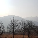 할머니민박
