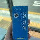 익수약국 | [약국 면접약 추천] 익수제약 용표안신액 천왕보심단 후기 그리고 합격