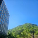 [파크로쉬 리조트앤웰니스] 정선 호텔 숙박 후기:)