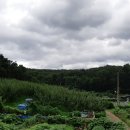 천을산문화협동조합 이미지