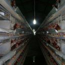 해병농장 이미지