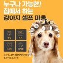 마이펫 시저링 | 애견미용용품 구매는 펫츠뷰에서!!