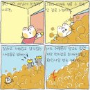 평범한 나 이미지