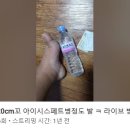 말초신경은 배아에서 나뉜다 usa일본서울과메기가 매독감성탑재하고있다 ㅋㅋ 이미지