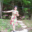 솔방솔방 이미지