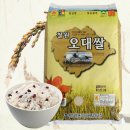 철원실내체육관 이미지