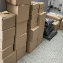 하고 싶은 거 다 하는 10월 일상