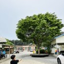 해송민박 이미지