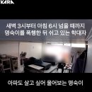 부산 모 회사 직원이 아기고양이 새벽 3시간동안 엄청 고문하고 학대함.. (빡침주의) 이미지