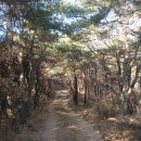 진척농장 이미지