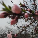 여성회관뒤 이미지