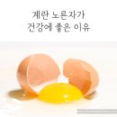 계란 노른자가 건강에 좋은 6가지 이유 이미지