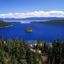 소중하개 이미지