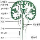 진해독일보청기 이미지