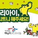 국가대표 태권도 이미지