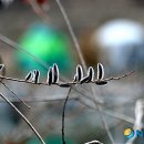 월동소류지 이미지