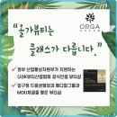 올가힐링