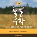 영남초등학교 | 농촌유학 신청방법 자연 속에서 배우는 소중한 교육 기회