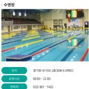 도원수영장 | [인천] 인천 토요일에도 자유수영 가능한 도원수영장 다녀온 후기