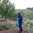 영미농장 이미지