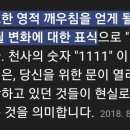 ■ 3D 입체 나비 타투 이미지