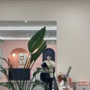 효창복싱 이미지