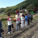 서울본동초등학교 이미지