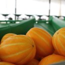 권오선농장 이미지