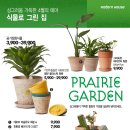 싱그러움 하우스 이미지