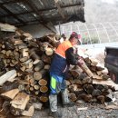 산림청 동부지방산림청 영월국유림관리소 이미지