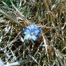 작은친구 이미지