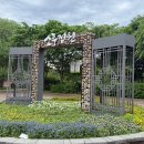 가족소풍캠핑장 | [소풍정원] 평택 힐링 산책과 캠핑장 이용수칙 총정리