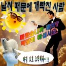 스시카메 이미지
