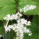 동욱목장 이미지