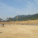 박찬호야구장야구장 이미지