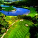 숲속골프 이미지