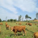 다움농장2 이미지