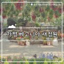 새들의 정원 | ‧₊ ⚘[가평 여행]가평 실내 데이트 코스┃가평 베고니아 새정원 재방문 솔직후기