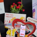 (주)곰투어