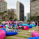 시청 책읽는 서울광장 서울야외도서관 운영일 시간