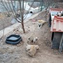 풍산농장 이미지