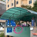무화과네일 | 청주 강서동 네일 벨르뮤 청주본점 무화과네일 시럽 원컬러 후기