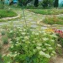 솔봄농장 이미지