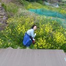 흑산초등학교 이미지
