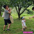 하신농장 이미지