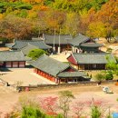 (주)진경 이미지