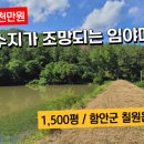 관리사 진출입로