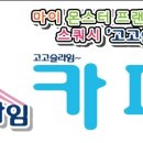 고고랜드 네이버블로그