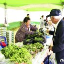 장안산 봄나물 축제 이미지